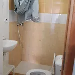 Koral Baltyku Jarosławiec