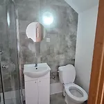 Koral Baltyku