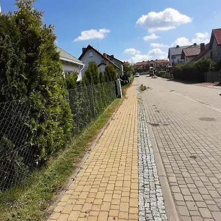 Koral Baltyku Jarosławiec