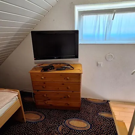 Koral Baltyku * Jarosławiec