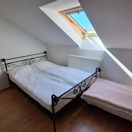 Koral Baltyku Jarosławiec